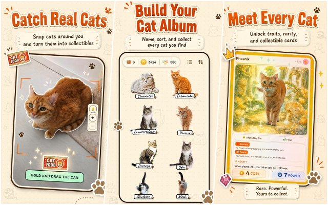 CatchCat для Android стала хитом: приложение предлагает ловить настоящих котов вместо покемонов
